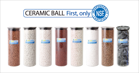 Manufacturers Exporters and Wholesale Suppliers of Antioxidant Alkaline Water Filter Surat Gujarat
